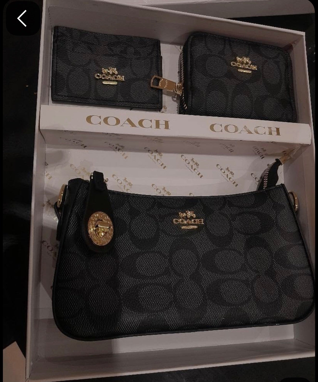 Sac coach noir