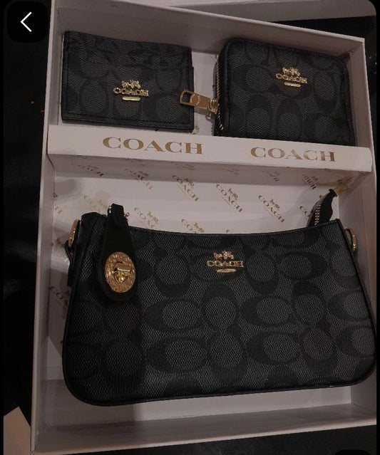 Sac coach noir
